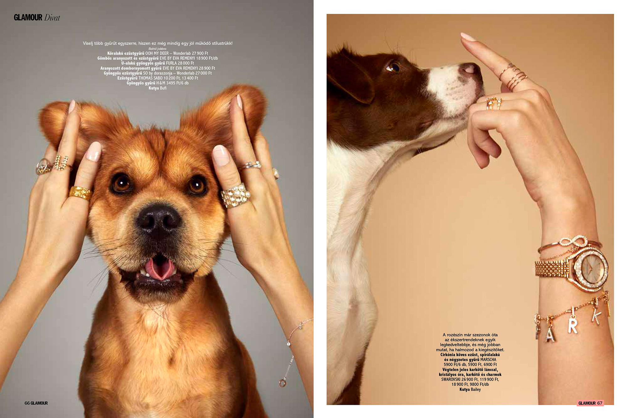 avenger-photographers-adamvonmack-dogs-glamour_magazineHUN-web002.jpg