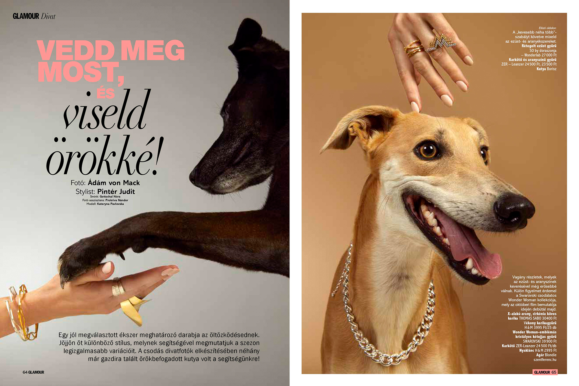 avenger-photographers-adamvonmack-dogs-glamour_magazineHUN-web001.jpg